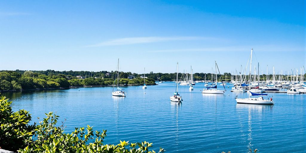 Marina mit Segelbooten und klarem Himmel.